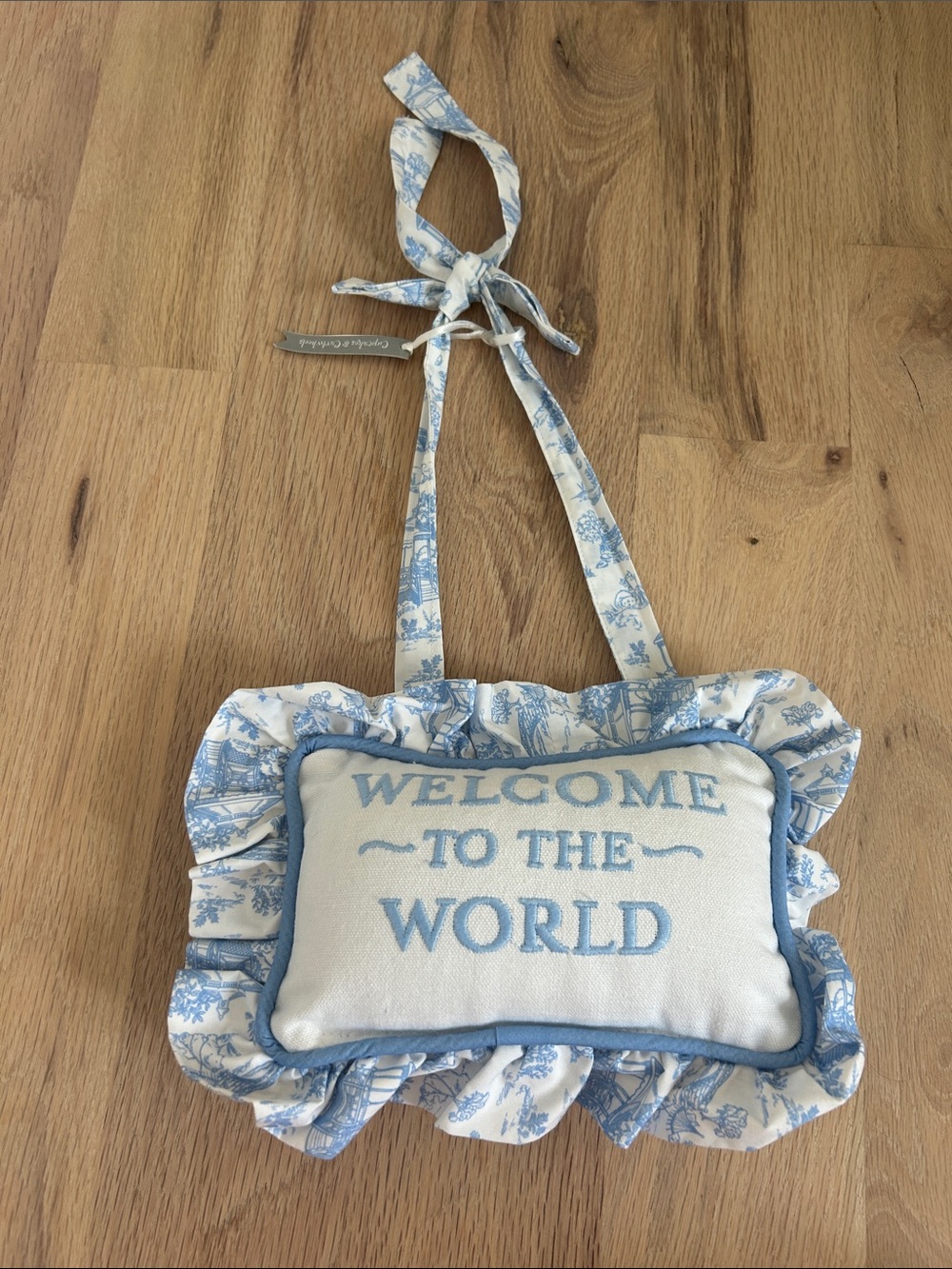 Welcome to the World Blue Ruffled Hanging Pillow by